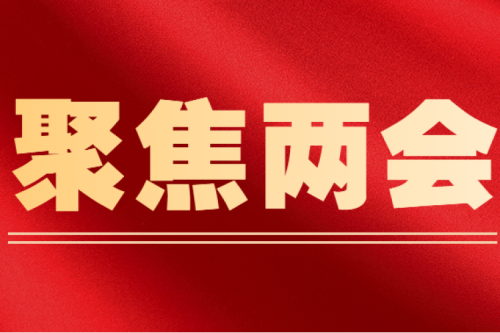全國人大代表李寅建議（三）丨盡快解決可再生能源電價(jià)附加補(bǔ)貼拖欠問題的建議